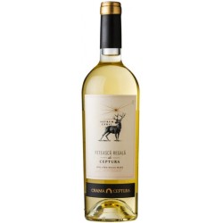 6 X Vin, Astrum Cervi Tamaioasa Romaneasca, 14%, 0.75L