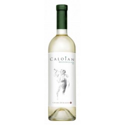 6 X Vin, Oltenia Profunda Caloian Rhein Riesling, 13%, 0.75L